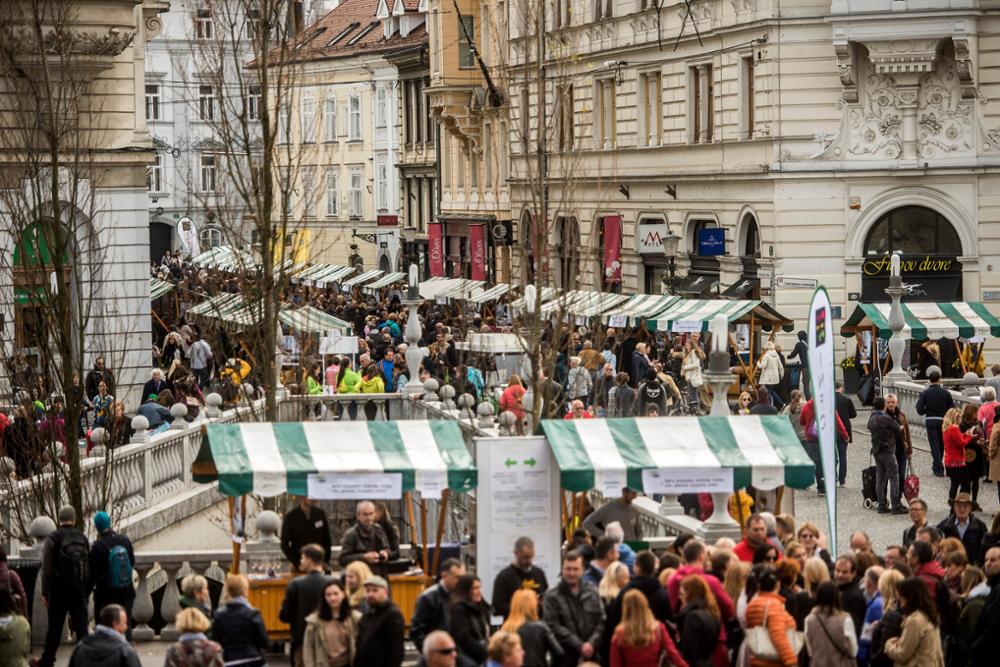 Les vins de Slovénie : à la découverte des vignobles slovènes