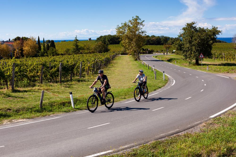 Les vins de Slovénie : à la découverte des vignobles slovènes